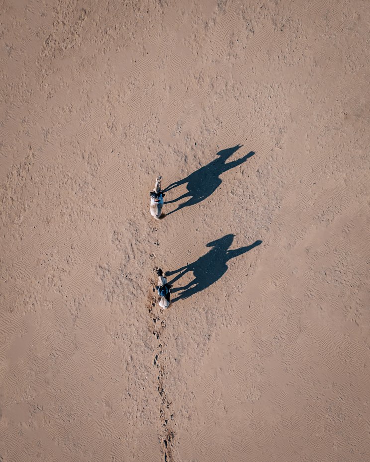 Mavic 2 Pro