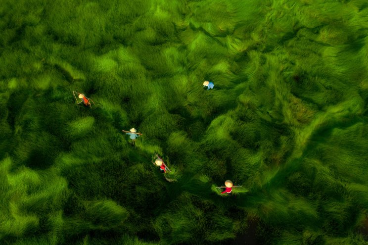 Itt vannak a DJI SkyPixel verseny győztes drónfotói - 11. kép