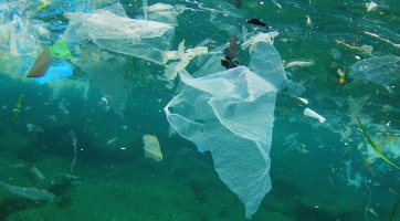 Drónos rendszert fejlesztenek a tengeri hulladékok felderítésére